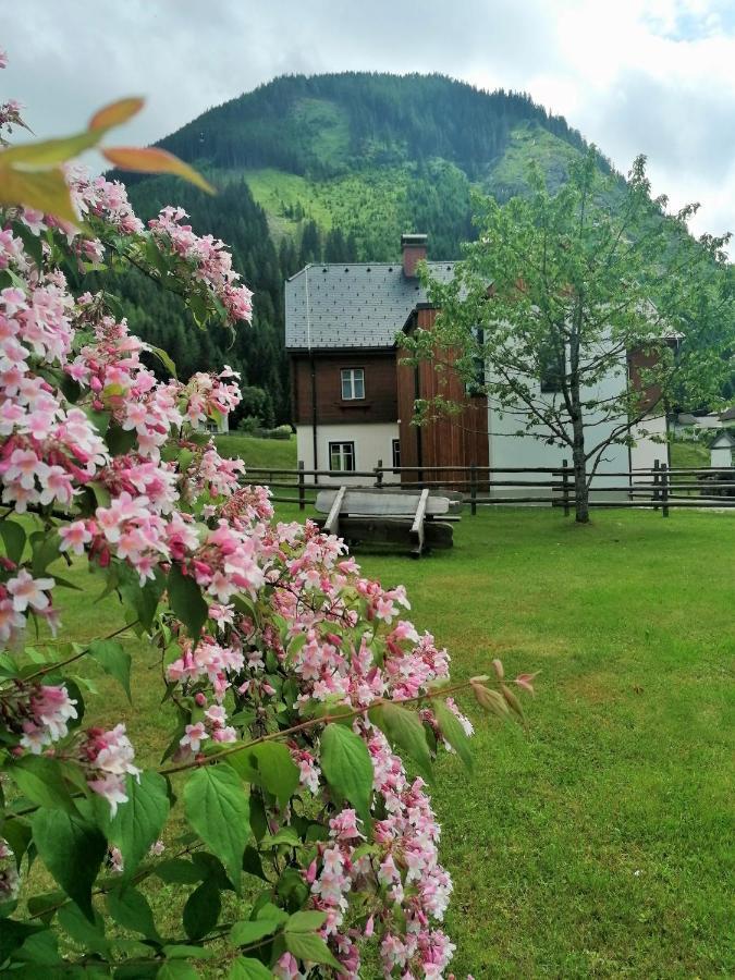 Sankt Nikolai im Sölktal Himmlisch Urlauben St. Nikolai 아파트 외부 사진