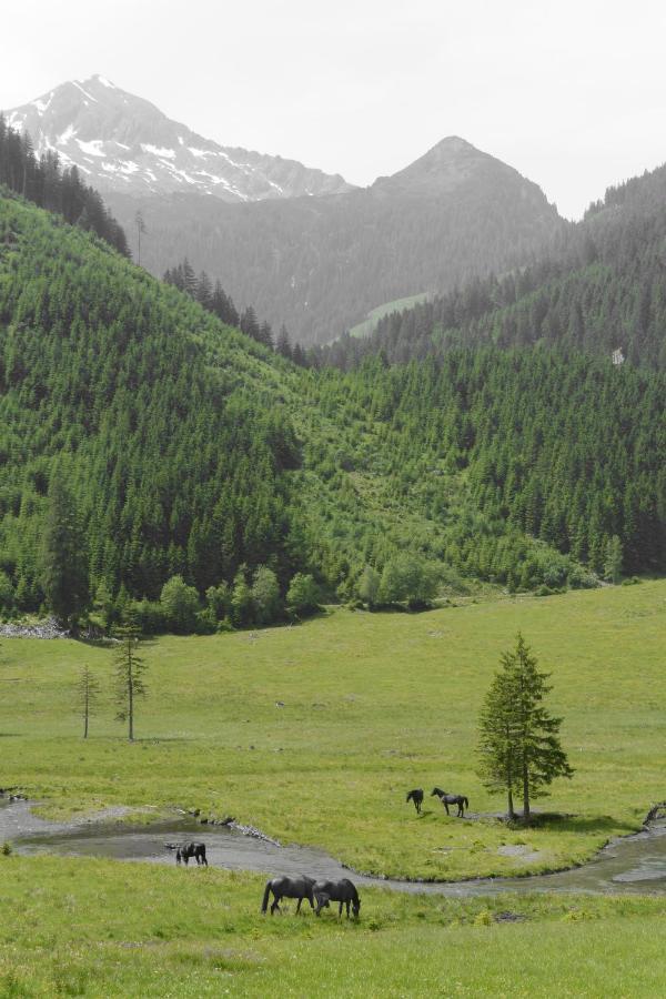 Sankt Nikolai im Sölktal Himmlisch Urlauben St. Nikolai 아파트 외부 사진